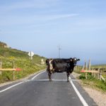 66开奖结果揭晓,幸运大奖花落谁家? 82duk