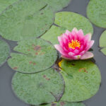 NBA免费直播网:畅享高清篮球赛事全程在线观看 ftode1ad