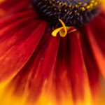 NBA全美直播场次创历史新高,引爆全球篮球热潮 fxhdx1r