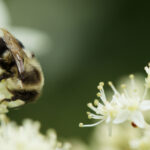 NBA免费高清直播:全程畅享热血篮球巅峰对决 kah3x3