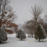 NBA免费高清直播无插件,畅享全程赛事不卡顿 l56odo